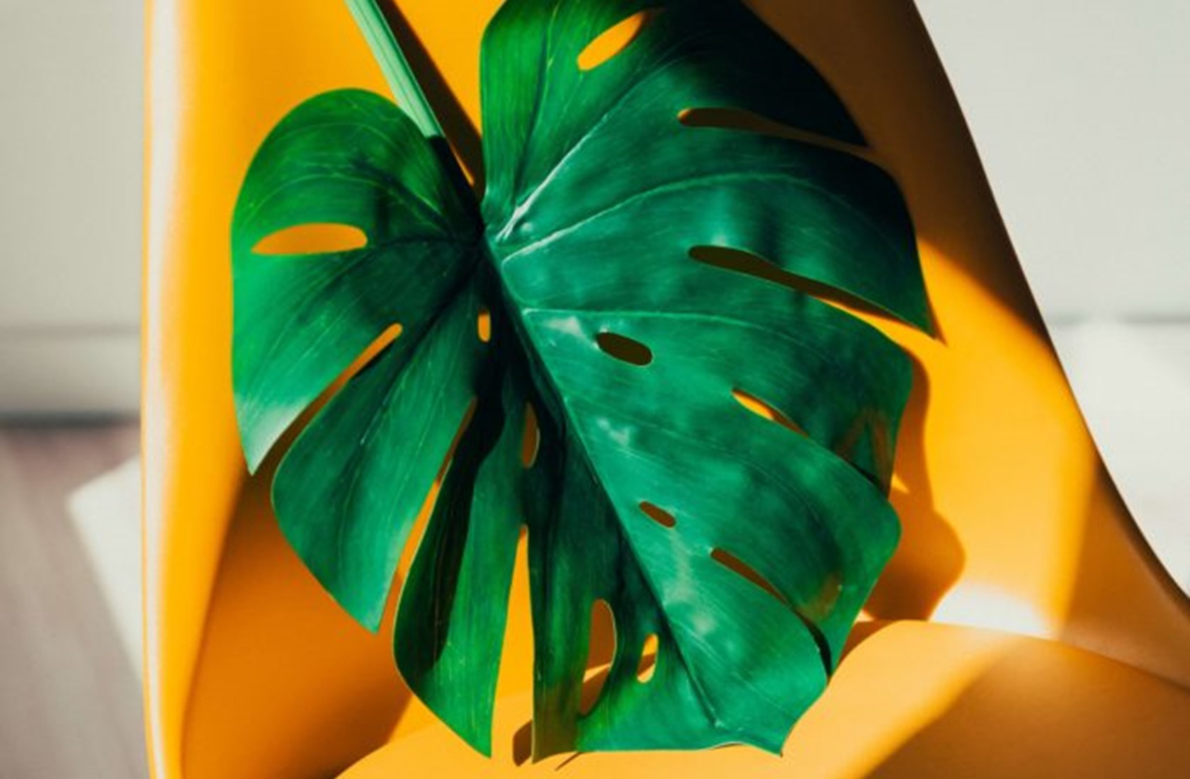 Biophilic Office