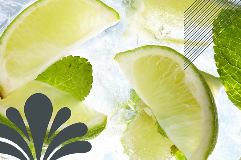Fruit-Infused Water with Aqua Bottler